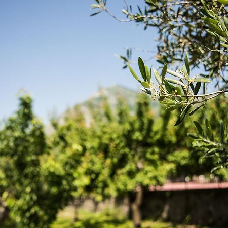 Casa Vacanza Dal Cavaliere Монтесаркьо Экстерьер фото