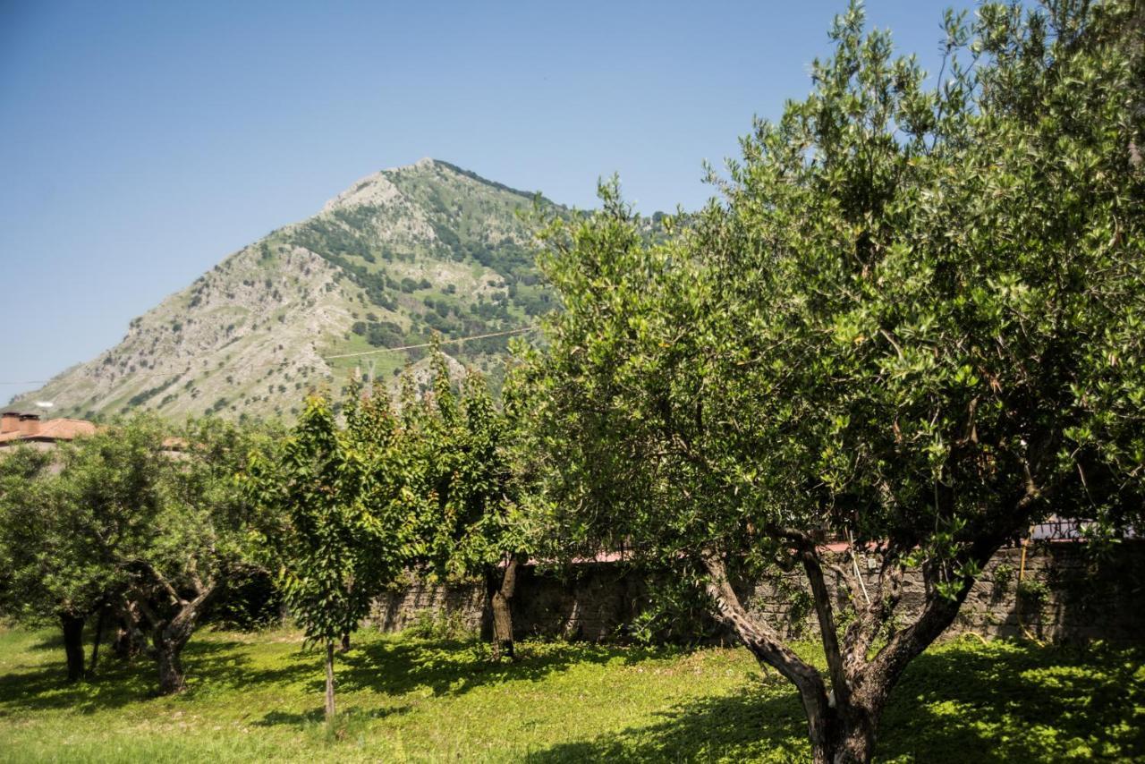 Casa Vacanza Dal Cavaliere Монтесаркьо Экстерьер фото